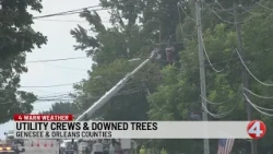 Storm damage in Genesee and Orleans Counties