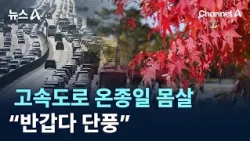 Highways Gridlocked All Day on First Day of Holiday, "Welcome, Autumn Foliage" / Channel A / News A