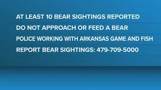 Fort Smith Police Department cautions residents after surge of bear sightings