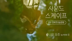 경주 외나무 다리 위에서 부르는🌿 | 이이주 - 나의 우주 [#사운드스케이프 4K]
