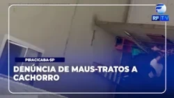 Total Alert - Footage captures animal abuse of dog in Piracicaba