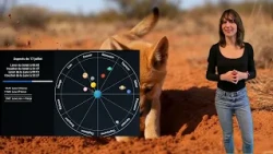 Horoscope for July 17, 2026: Emotions and Surprises