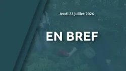 In Brief