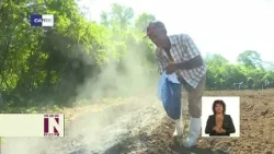 Granma kicks off the 2026-2027 tobacco season