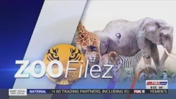 FOX8 News at 8am