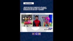 Young party entertainers ask for the return of two mascot heads