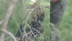 Bomberos rescatan a joven atrapado en canal de riego con fango y lirio