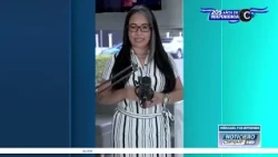 "Set the date now": Gabriela Castellanos demands Congress discuss electoral reforms