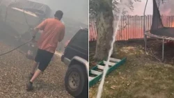'Hero' neighbor used garden house to keep Roy fire from spreading