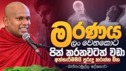 මරණය ලං වෙනකොට පින් කරනවටත් වඩා අත්හැරීමමයි පුරුදු කරන්න ඕන... | Ven. Welimada Saddhasheela Thero
