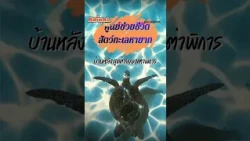 Clip TS 2
