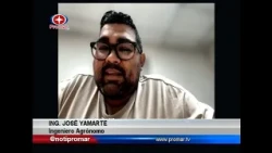 Venezuelan Society of Agronomists and Affiliates warns about the impact of drought