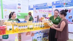 Rural Industrial Goods Fair: The Appeal of Regional Products | Thanh Hoa Television
