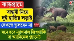 Jhargram | ঝাড়গ্রামে বান্ধবী নিয়ে দুই হাতির লড়াই, দেখতে ভুলবেন না