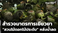 Surveying Relief Measures for "Ornamental Plant Nurseries" After the Floods | Evening News | Oct....