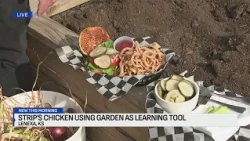 Kansas City restaurant owner using garden as learning tool
