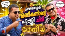 ഈ ചേട്ടനും അനിയനും വേറെ വൈബ് ആണ് | theenecha comedy | coming soon