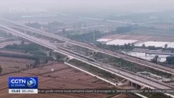 China: Approximately 63 Million Car Trips Per Day Expected