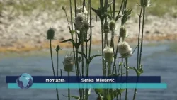 TV Informator  - VREME 27 jul 2026