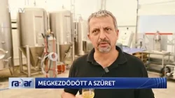 Megkezdődött a szüret - HírTV