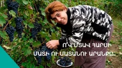 «Տեգոր կնիկ՝ օձի բնիկ , կեսուրս գլխին խելք ունենար, տեգոր կնգանս լսիլ չէր». Ամալիկի   երգն ու պարը