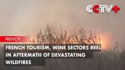 French Tourism, Wine Sectors Reel in Aftermath of Devastating Wildfires