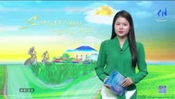 Tay Ninh continues to boost forest protection and development