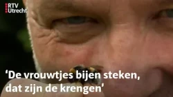 Forten worden hotspots voor bijen I Natuurlijk Zoëy I RTV Utrecht