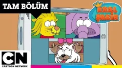 Kayıp Nota | KRAL ŞAKİR | TAM BÖLÜM | @cartoonnetworkturkiye