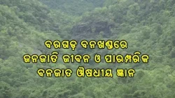 ବନ ଦର୍ଶନ | ଜନଜାତି ଜୀବନ ଓ ପାରମ୍ପରିକ ବନଜାତ ଔଷଧୀୟ ଜ୍ଞାନ | Bana Darshana | DD Odia