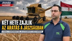 2 HETE ZAJLIK AZ ARATÁS A JÁSZSÁGBAN IS - GYENGE A TERMÉSMENNYISÉG, DE ELFOGADHATÓ A BÚZA MINŐSÉGE