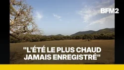 Les 40°C dépassés 178 fois: Météo France fait le bilan des canicules de cet été