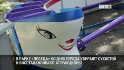 Pobeda Park clears deadwood and restores attractions for City Day