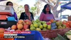 Prevención mosca de la fruta en Vicuña