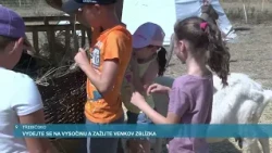 VYDEJTE SE NA VYSOČINU A ZAŽIJTE VENKOV ZBLÍZKA