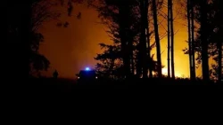 Лесной пожар в Ландах: эвакуированы 525 человек