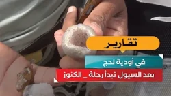 After the Floods, the "Treasure" Hunt Begins in the Valleys of Lahj