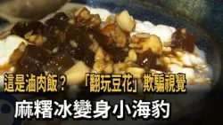 Is This Braised Pork Rice? "Reimagined Tofu Pudding" Deceives the Eye, Mochi Ice Cream Transforms...