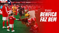 Benfica Doing Good EP 1