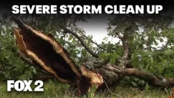 Volunteers across Metro Detroit clean up, rebuild after tornado and storms