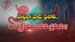 H. pylori in the stomach... why is this bacteria dangerous | Sukhibhava |  ETV Life