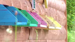 Benefice pro semetínský včelín vynesla rekordní částku