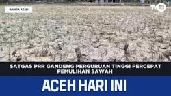 PRR Task Force Partners with Universities to Accelerate Rice Field Recovery | Aceh News Today