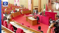 Senate Expands Safe School Initiative Probe To Include NELFUND, UBEC, Others