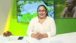 UJAT News October 14, 2026
