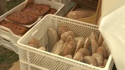 NEDA BREAD SPECIAL 2026