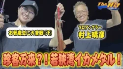 2026年9月23日【The Hit】心得は丁寧に釣る！村上晴彦の若狭湾イカメタル