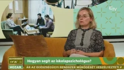 Hogyan segít az iskolapszichológus? – Mozaik
