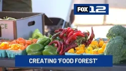 Rosewood Initiative builds ‘food forest’ to address child hunger in Portland