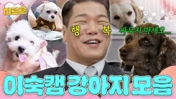 가정은 파탄나도 강아지는 귀여워 | 이혼숙려캠프 | JTBC 260625 방송 외